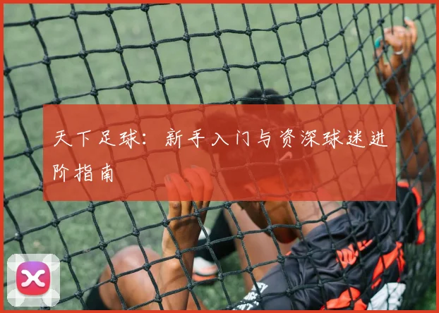 天下足球：新手入门与资深球迷进阶指南