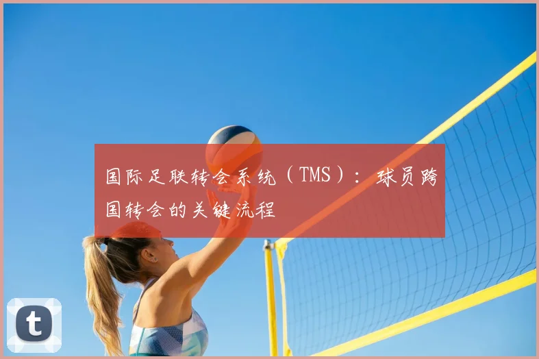国际足联转会系统（TMS）：球员跨国转会的关键流程