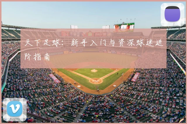 天下足球:新手入门与资深球迷进阶指南